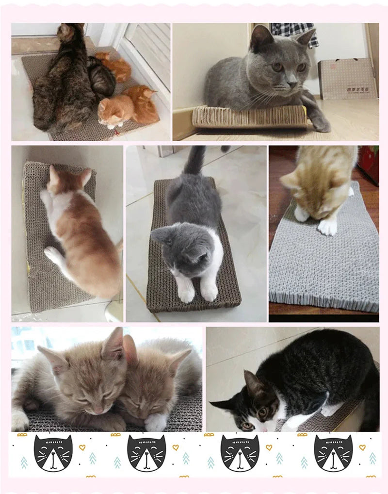 Cat Cardboard Scratch